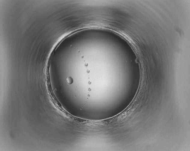 X0000116290864200911301417