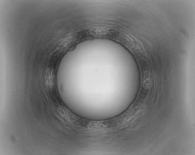 X0000116290866200911301417