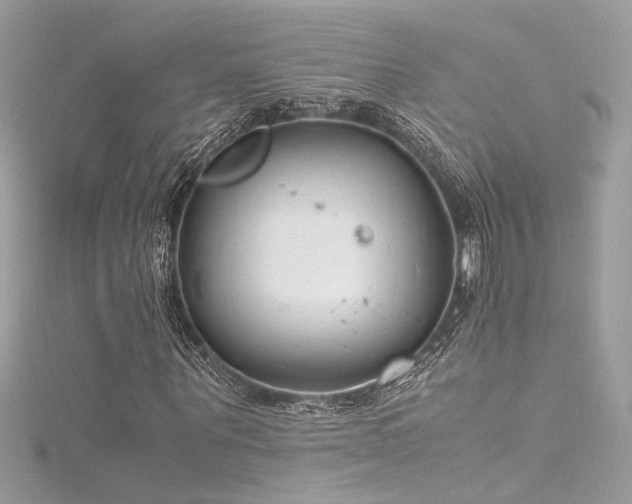 X0000116290867200911301417