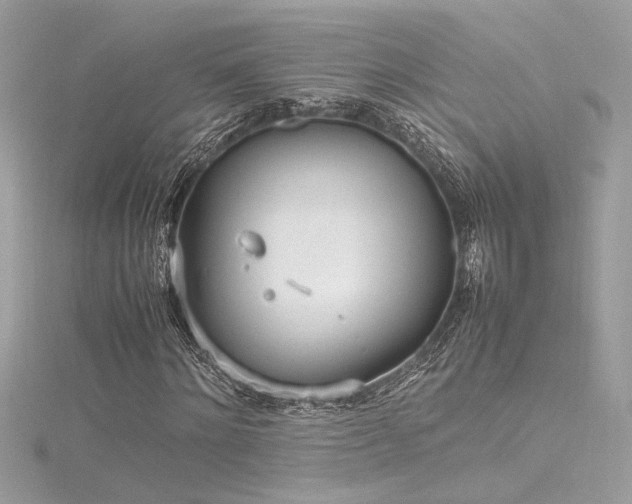 X0000116290868200911301417