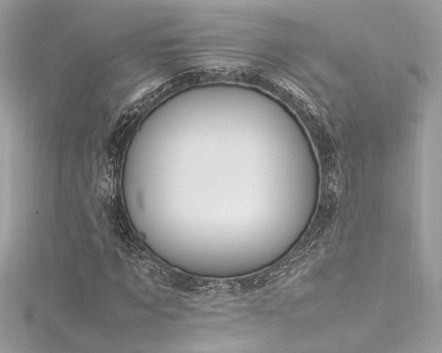 X0000116290869200911301417