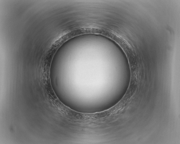 X0000116290870200911301417