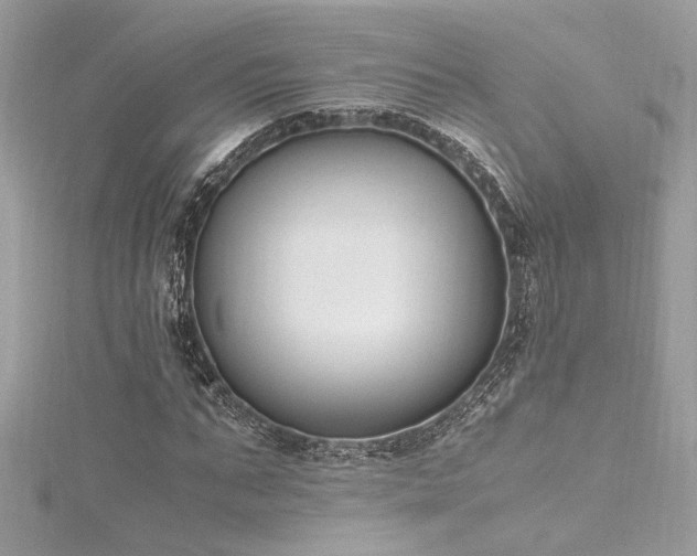 X0000116290871200911301417