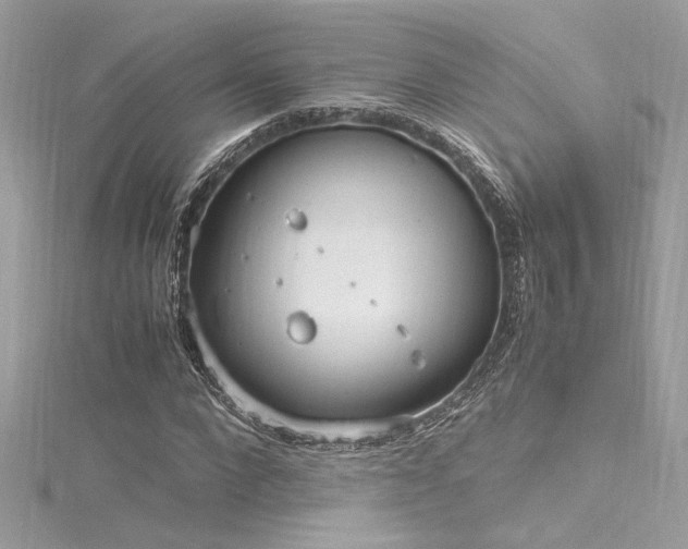 X0000116290872200911301417