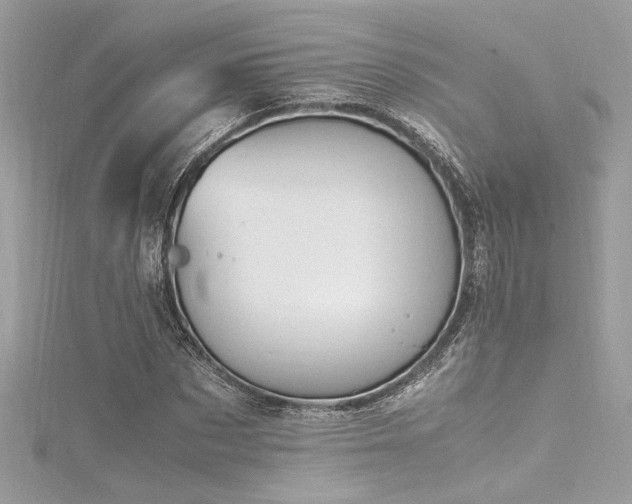 X0000116290873200911301417