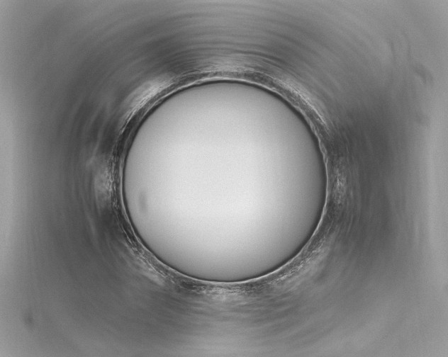 X0000116290874200911301417