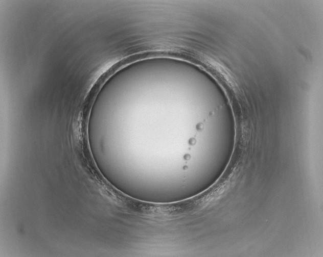 X0000116290875200911301417