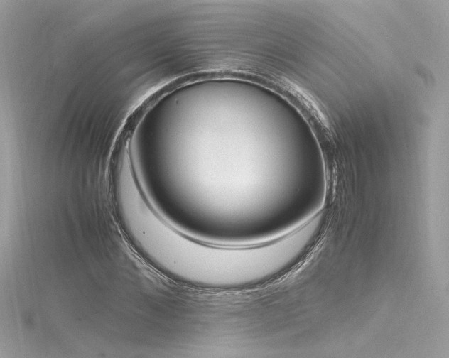 X0000116290876200911301417