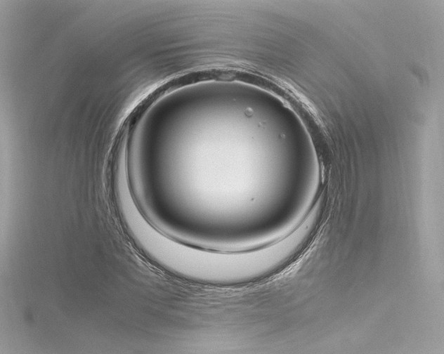 X0000116290877200911301417