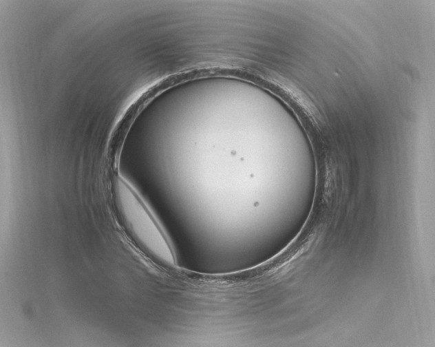 X0000116290878200911301417