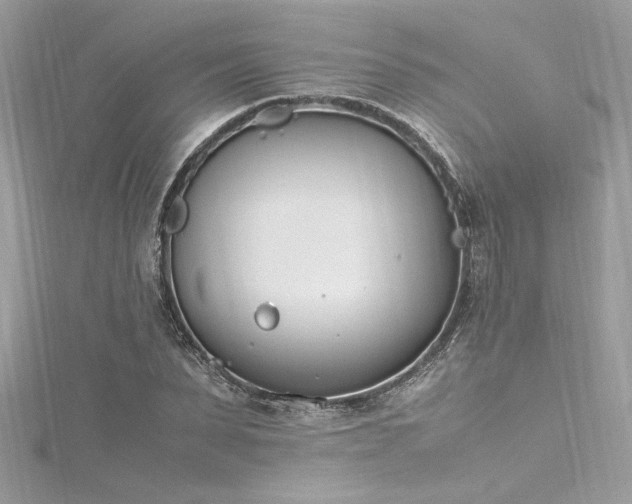 X0000116290879200911301417