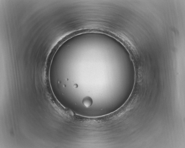 X0000116290880200911301417