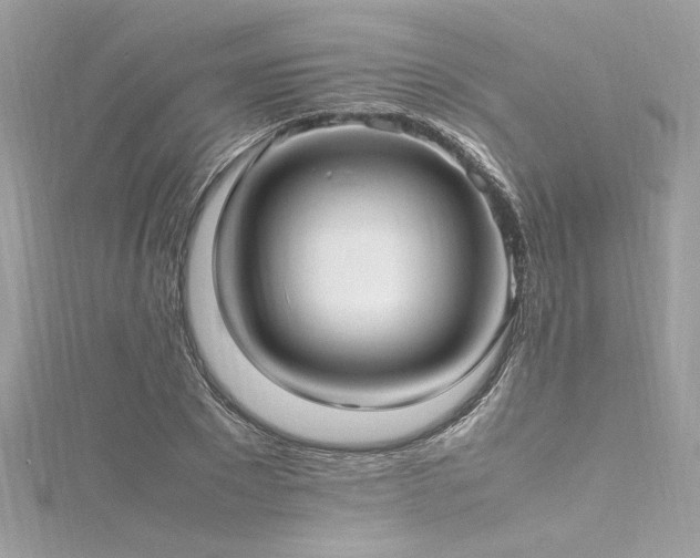 X0000116290881200911301416