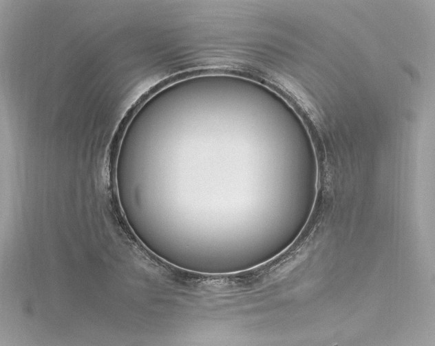 X0000116290883200911301416