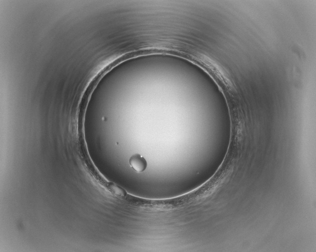 X0000116290884200911301416