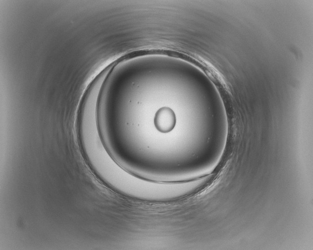 X0000116290885200911301416