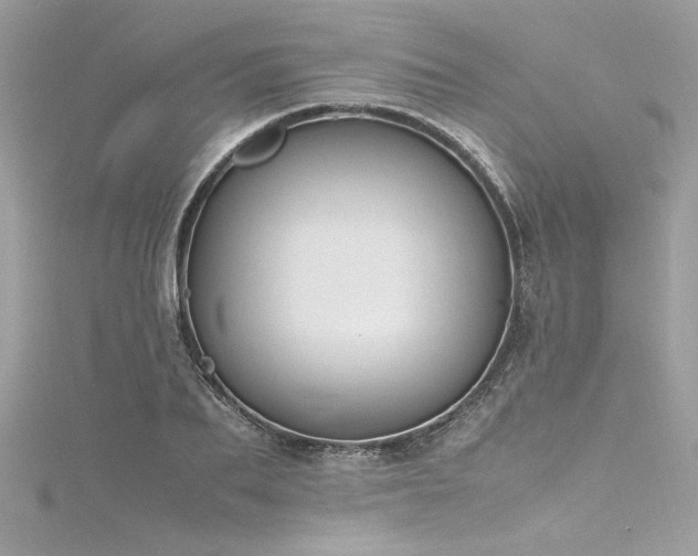 X0000116290887200911301416