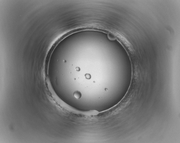 X0000116290888200911301416