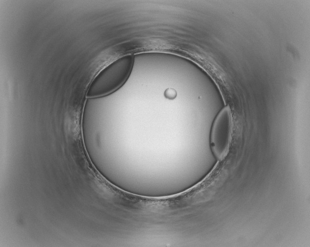 X0000116290889200911301416