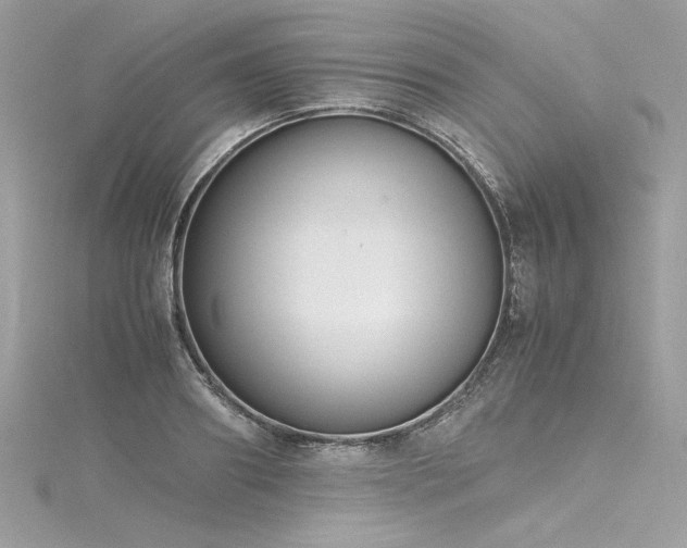 X0000116290890200911301416