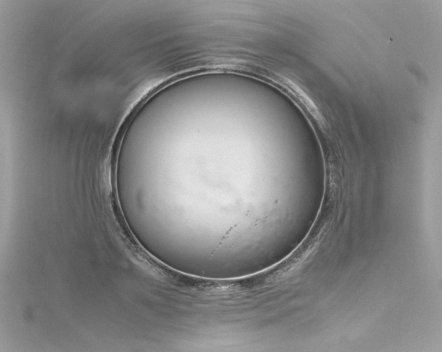 X0000116290891200911301416