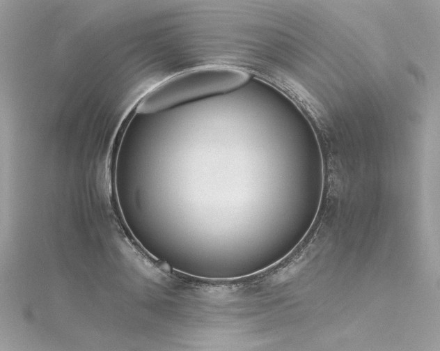 X0000116290892200911301416