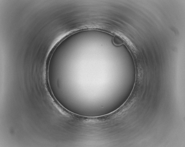 X0000116290894200911301416