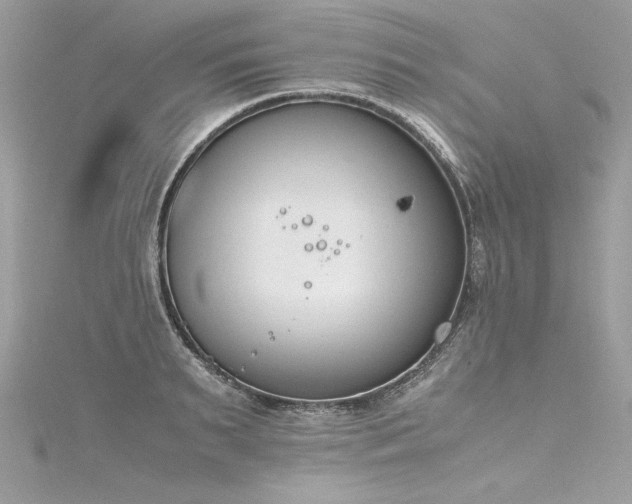 X0000116290895200911301416