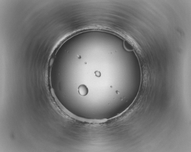 X0000116290896200911301416