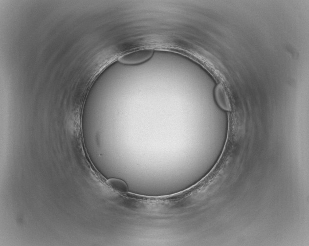 X0000116290897200911301416