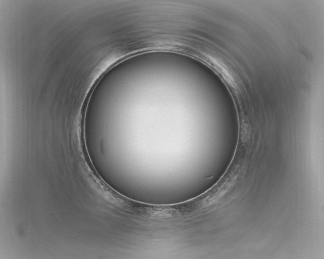 X0000116290899200911301416