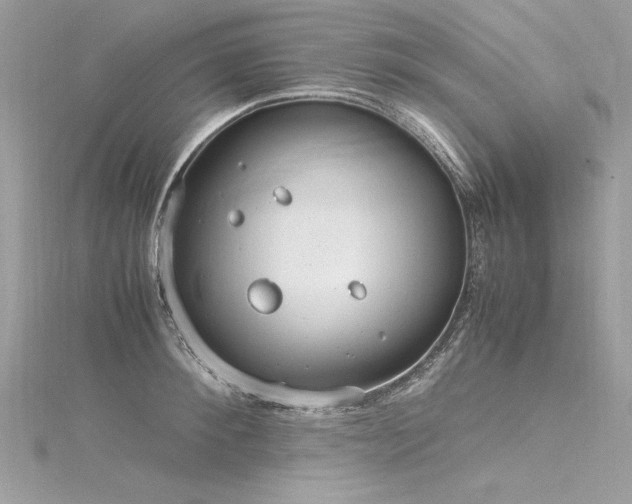 X0000116290900200911301416