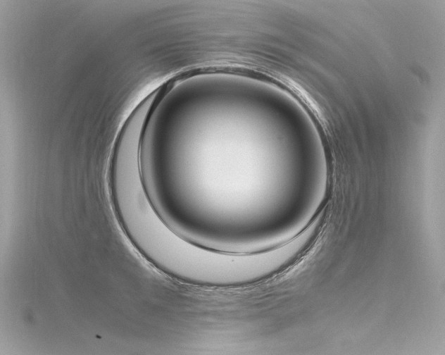 X0000116290901200911301416