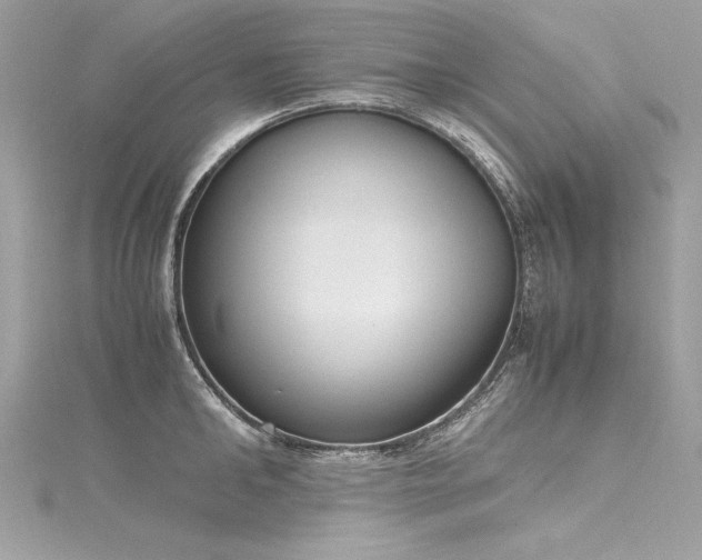 X0000116290902200911301416