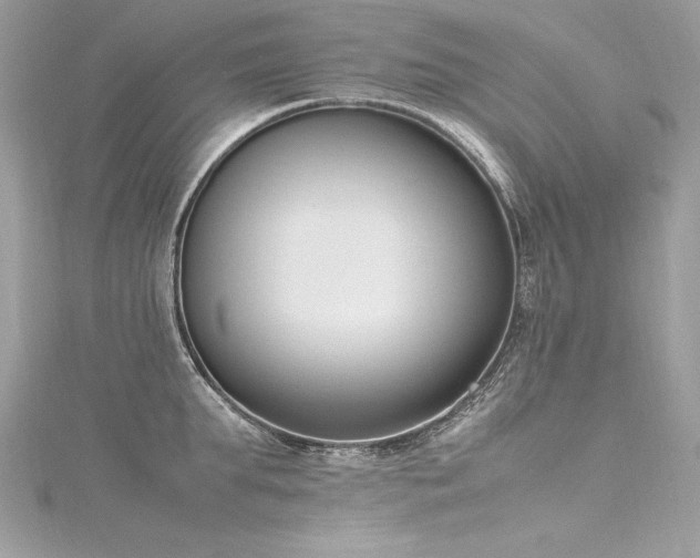 X0000116290903200911301416