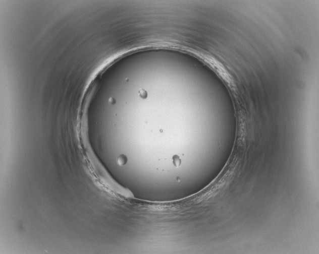 X0000116290904200911301416