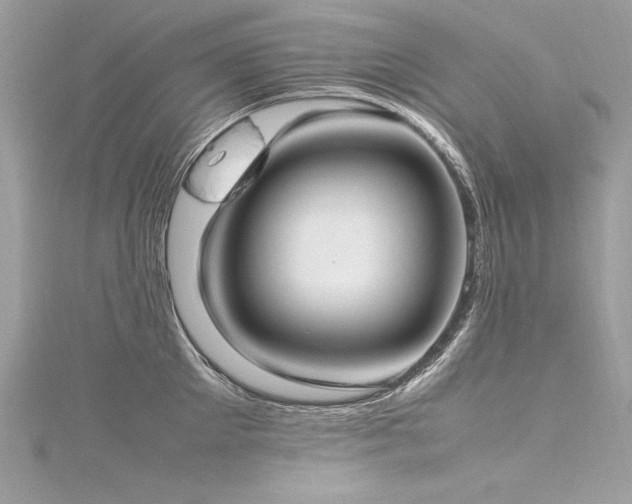 X0000116290905200911301416