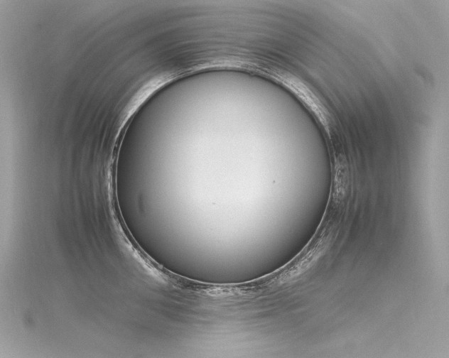 X0000116290906200911301416