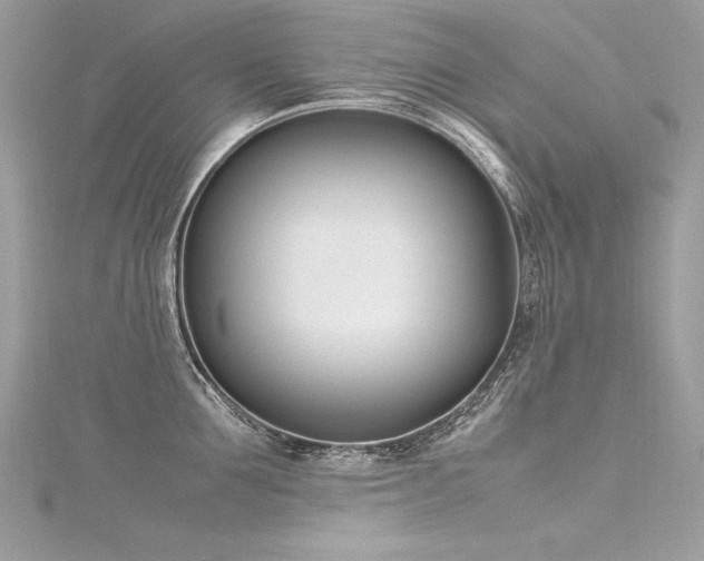 X0000116290907200911301416