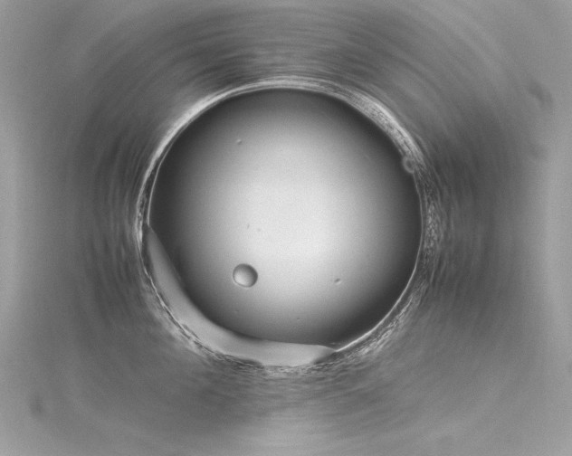 X0000116290908200911301416