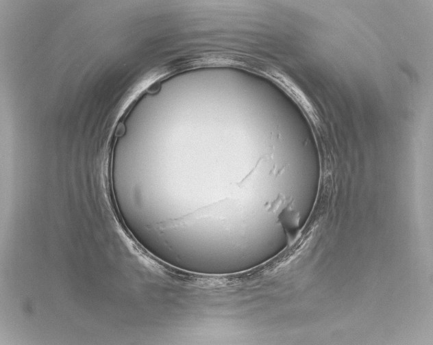 X0000116290909200911301416