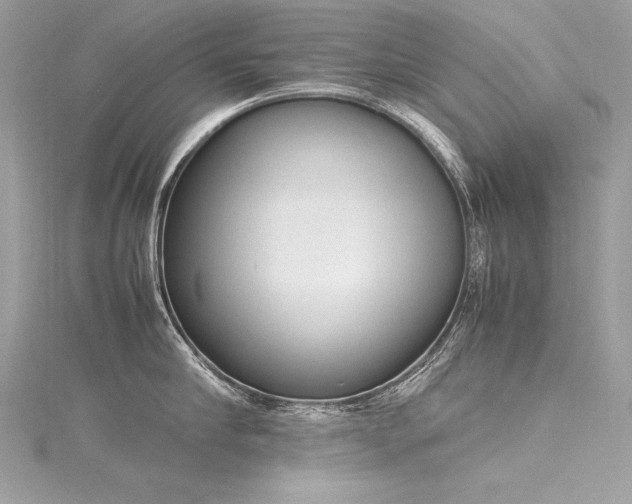 X0000116290910200911301416