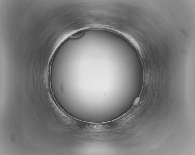 X0000116290911200911301416