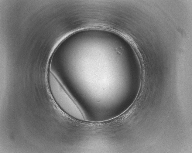 X0000116290912200911301416