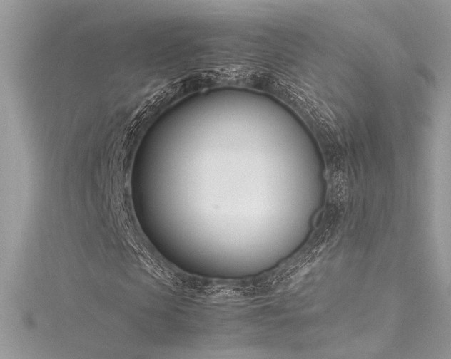 X0000116290913200911301415