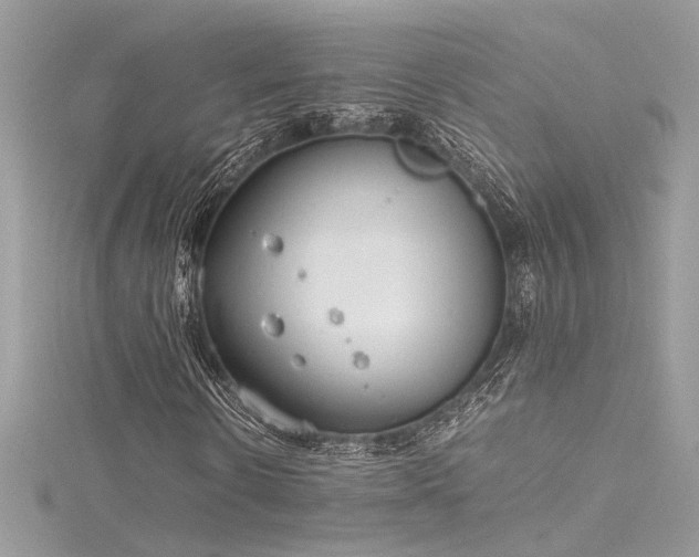 X0000116290914200911301415