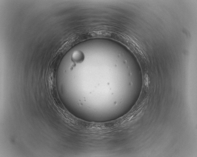 X0000116290915200911301416