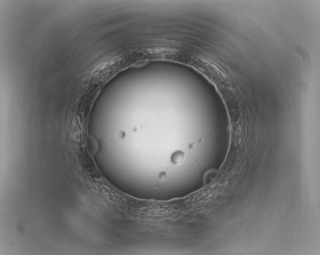 X0000116290917200911301416