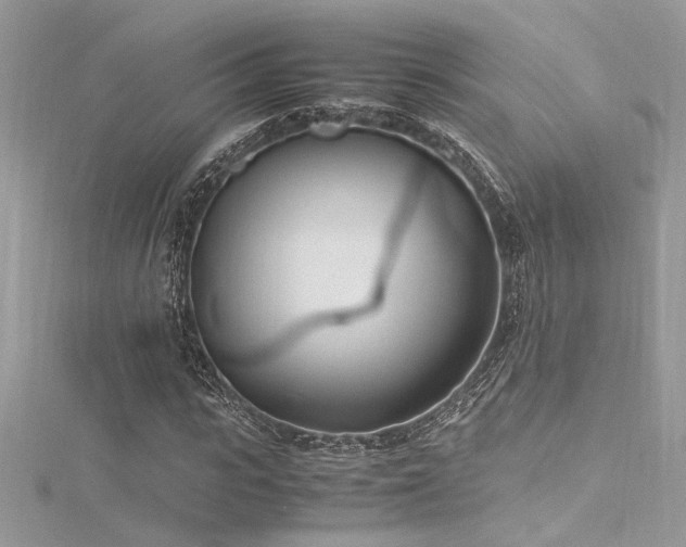 X0000116290919200911301416