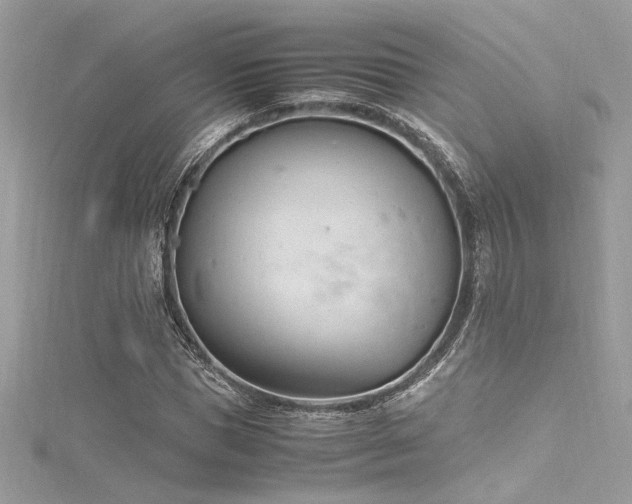 X0000116290921200911301416